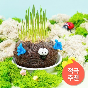 [민화샵] 토피어리 잔디인형 만들기